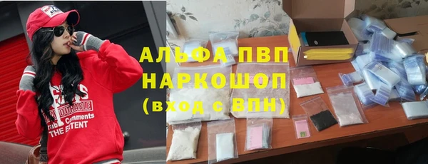 стаф Верея