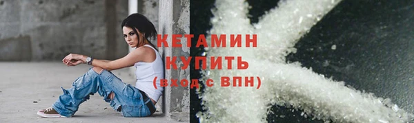 стаф Верея